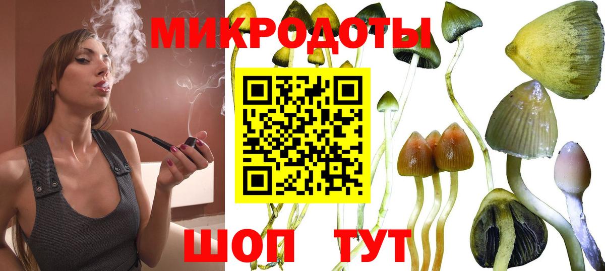 Галлюциногенные грибы ЛСД  Галлюциногенные грибы ЛСД  Выборг  Вход с VPN 