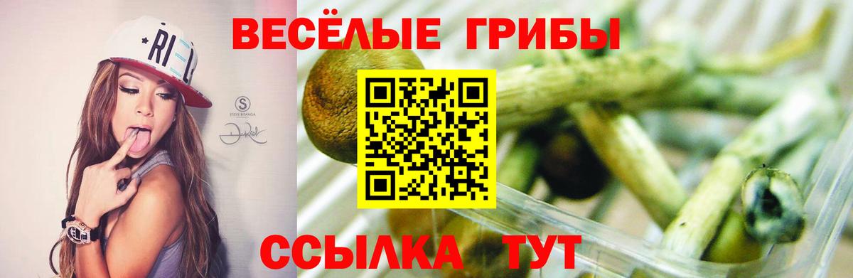 Псилоцибиновые грибы Magic Shrooms Выборг